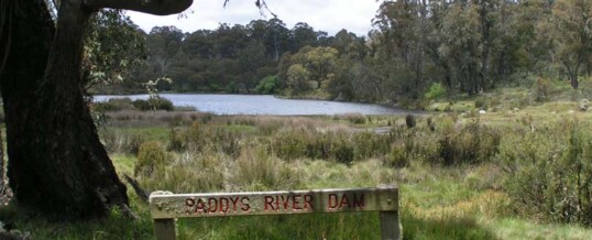 Paddys River Dam